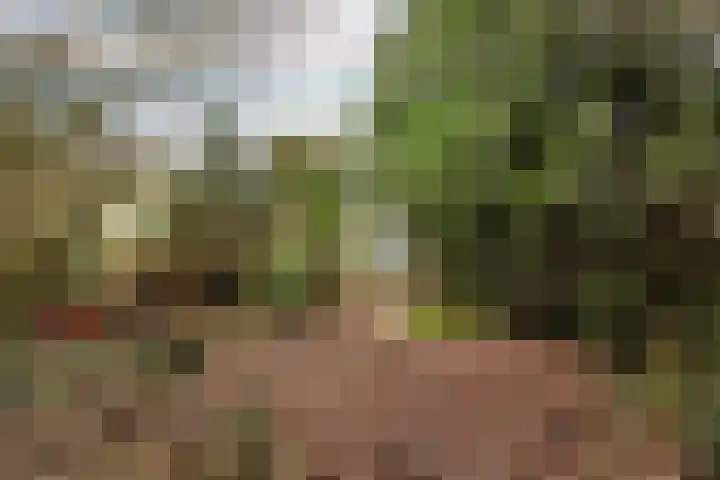 Woldweg 166 Kropswolde thumbnail 29