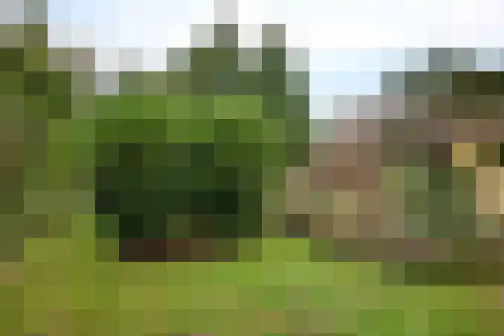 Woldweg 166 Kropswolde thumbnail 30