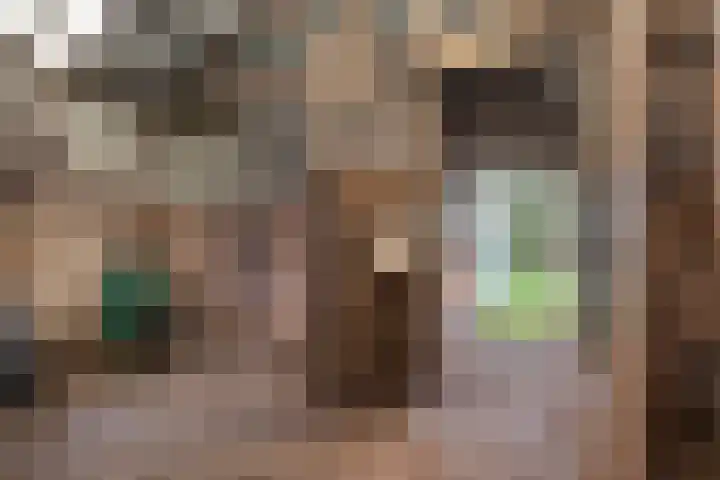 Woldweg 166 Kropswolde thumbnail 33