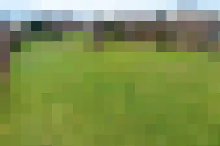 Woldweg 166 Kropswolde thumbnail 36