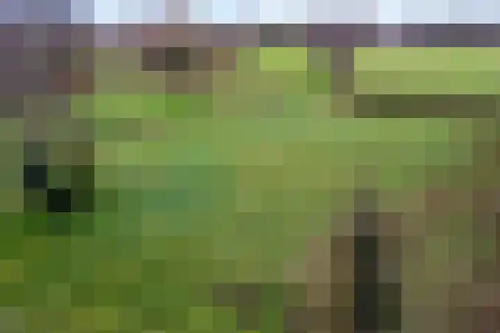 Woldweg 166 Kropswolde thumbnail 4