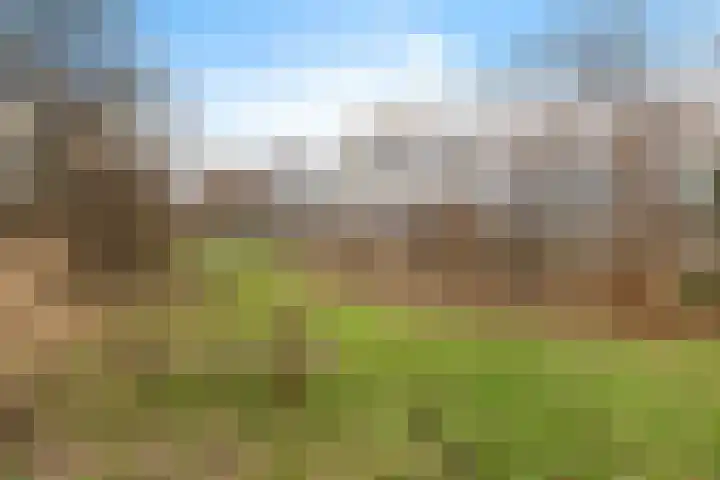 Woldweg 166 Kropswolde thumbnail 42