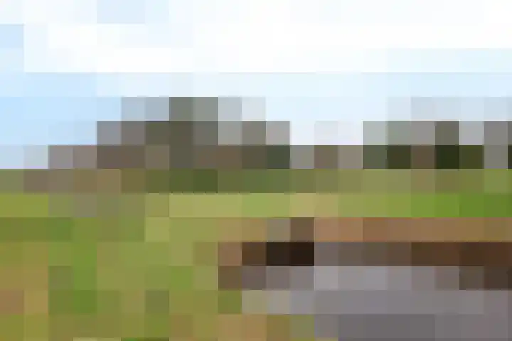 Woldweg 166 Kropswolde thumbnail 44