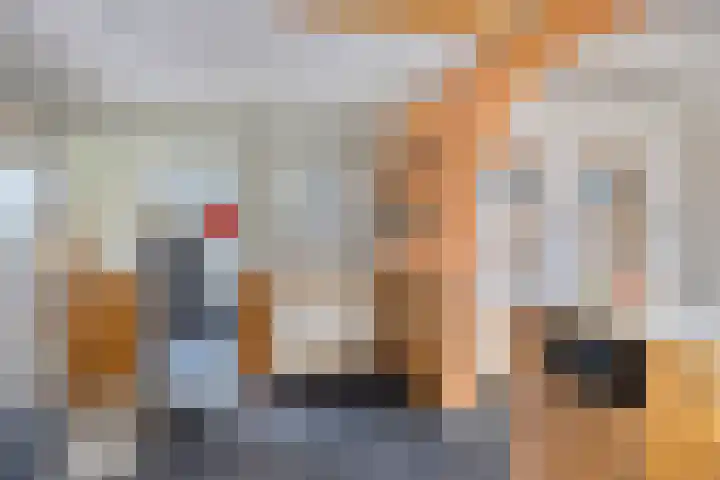 Woldweg 170 Kropswolde thumbnail 17
