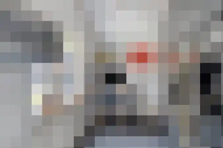 Woldweg 170 Kropswolde thumbnail 22