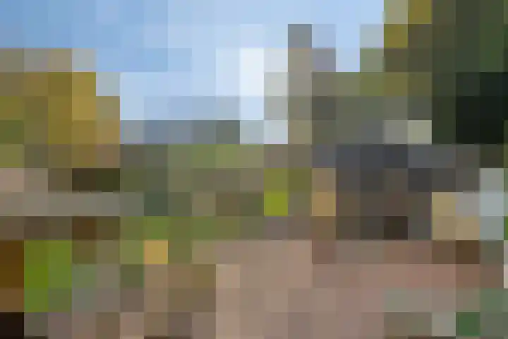 Woldweg 170 Kropswolde thumbnail 30