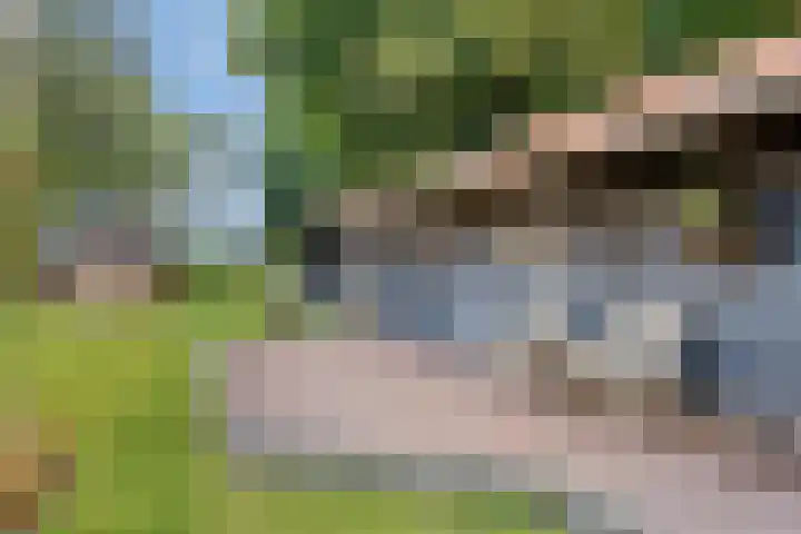 Woldweg 170 Kropswolde thumbnail 35