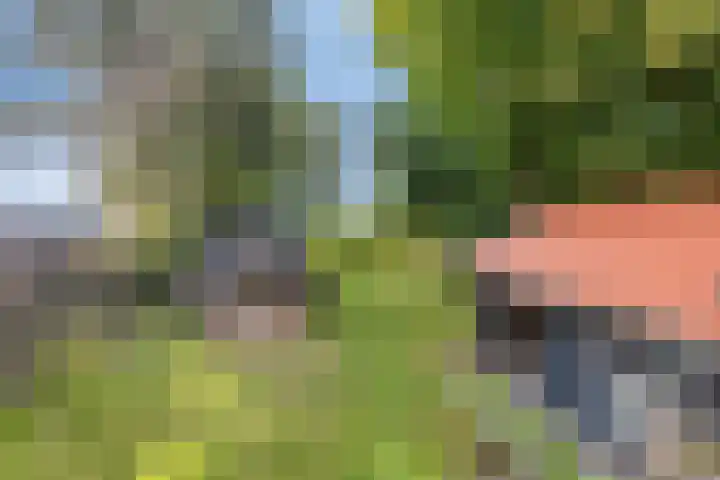 Woldweg 170 Kropswolde thumbnail 36