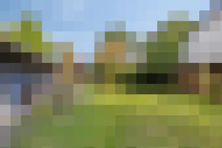 Woldweg 170 Kropswolde thumbnail 41