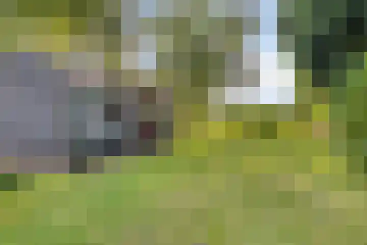 Woldweg 170 Kropswolde thumbnail 43