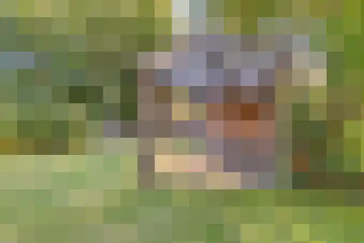 Woldweg 170 Kropswolde thumbnail 45