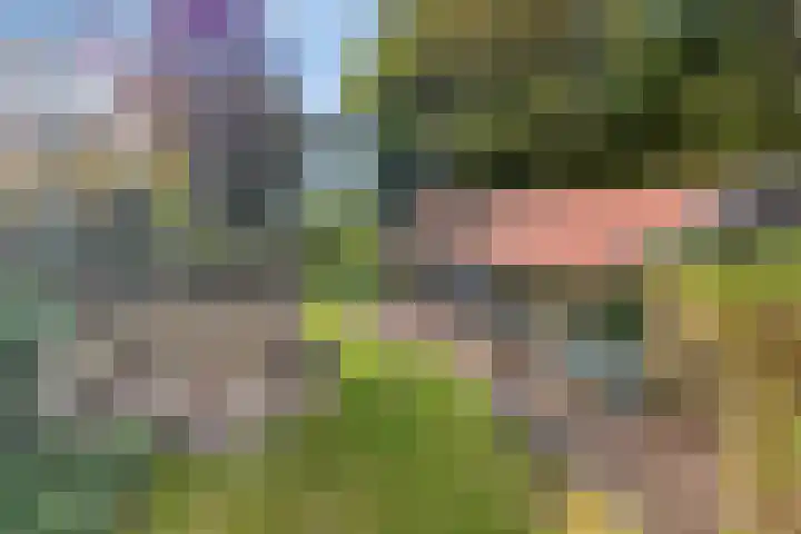 Woldweg 170 Kropswolde thumbnail 46