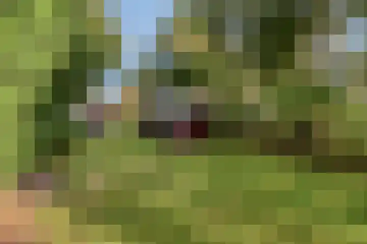 Woldweg 170 Kropswolde thumbnail 47