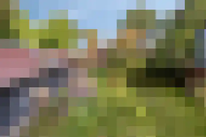 Woldweg 170 Kropswolde thumbnail 48