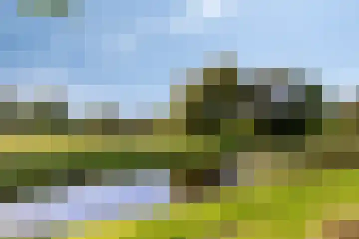 Woldweg 170 Kropswolde thumbnail 52