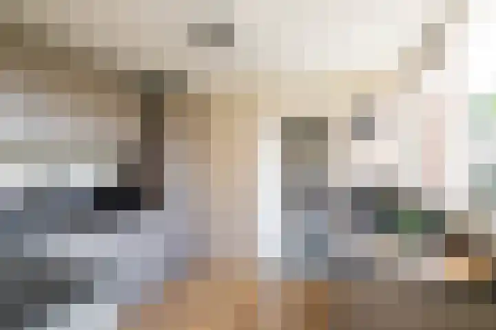 Woldweg 19 Groningen thumbnail 19