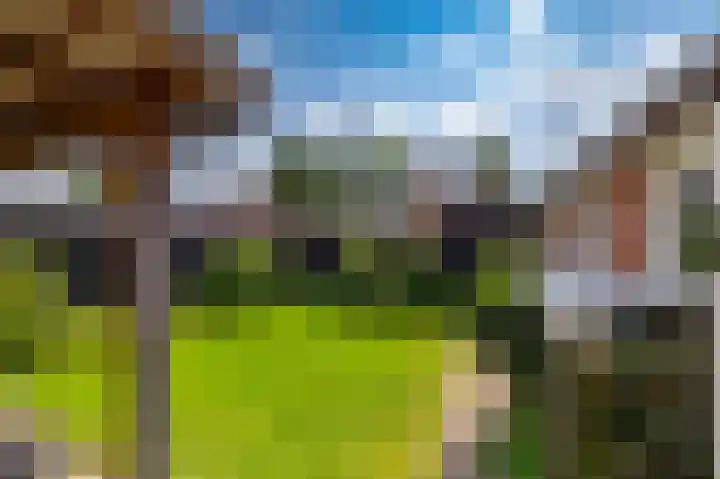 Woldweg 19 Groningen thumbnail 4
