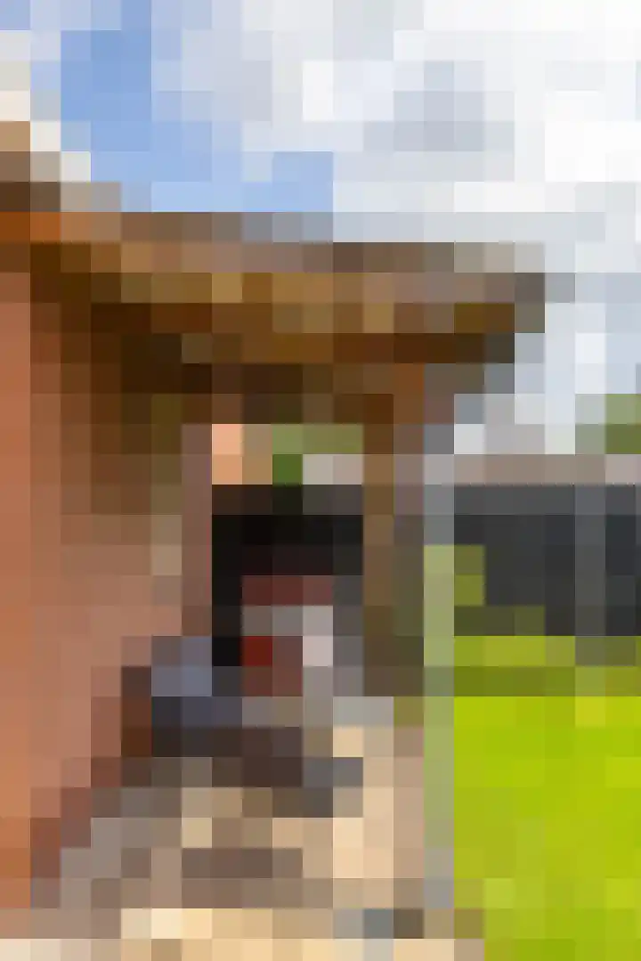 Woldweg 19 Groningen thumbnail 47