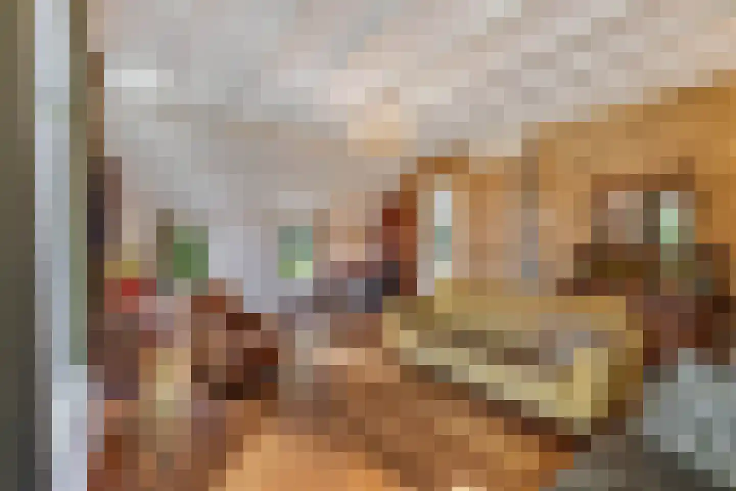 Woldweg 2 De Pol thumbnail 14