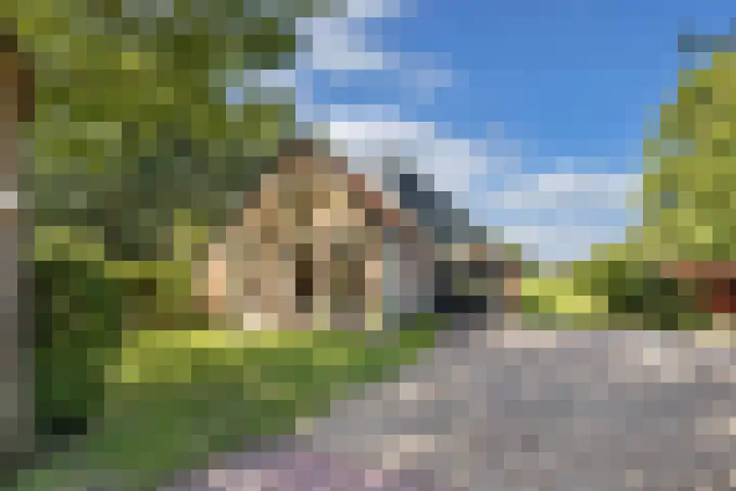 Woldweg 2 De Pol foto 2