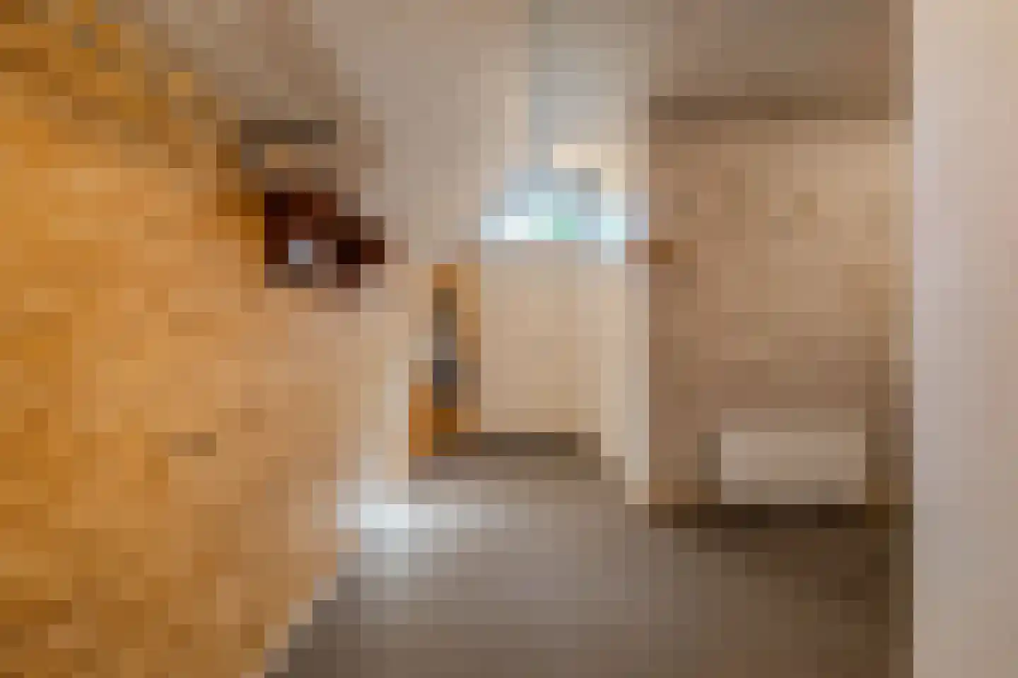 Woldweg 2 De Pol thumbnail 21