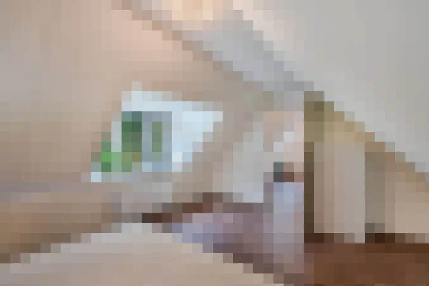 Woldweg 2 De Pol thumbnail 26