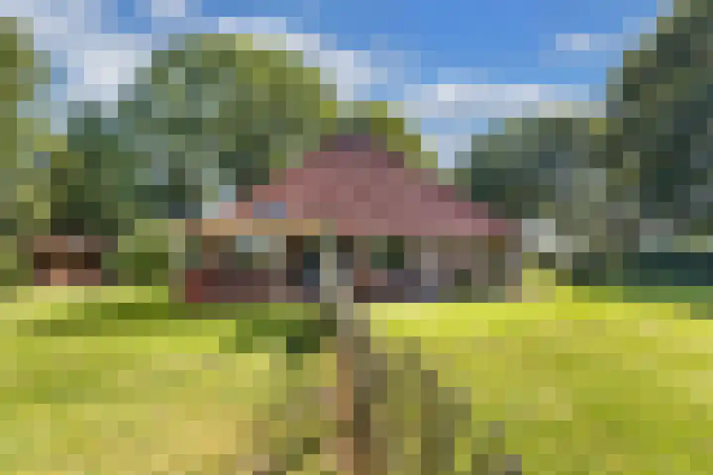 Woldweg 2 De Pol thumbnail 34