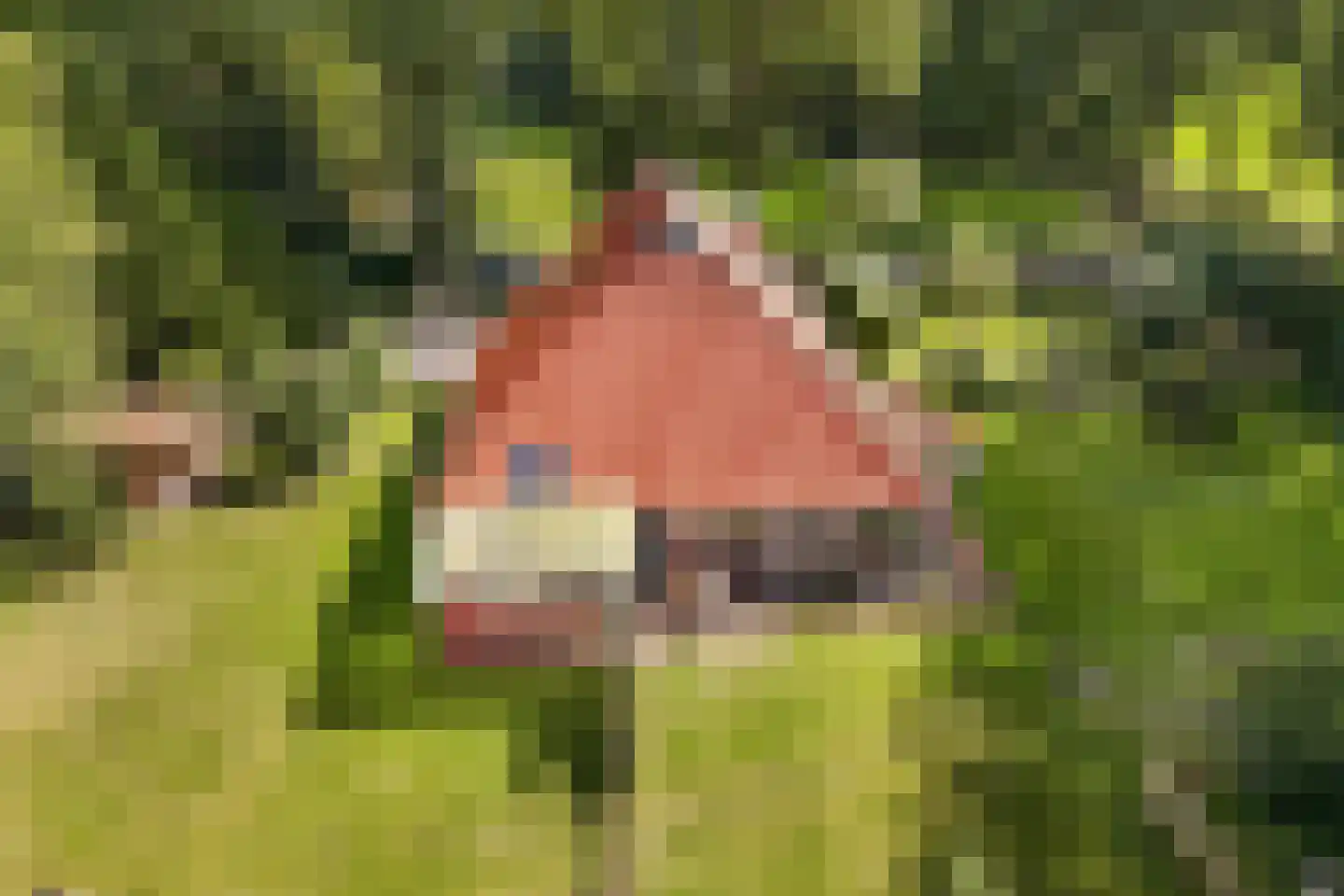 Woldweg 2 De Pol thumbnail 35