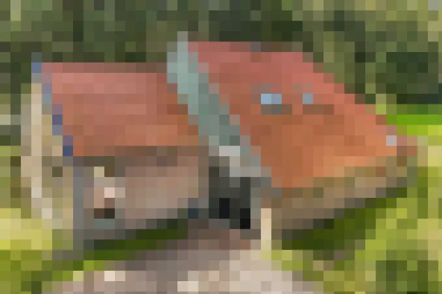 Woldweg 2 De Pol thumbnail 4