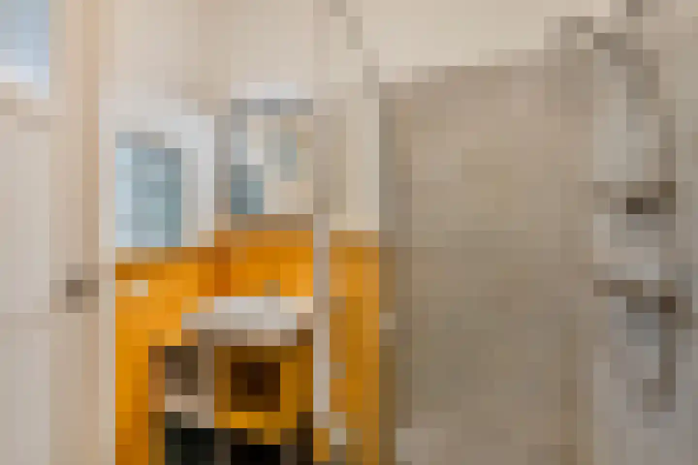 Woldweg 2 De Pol thumbnail 42
