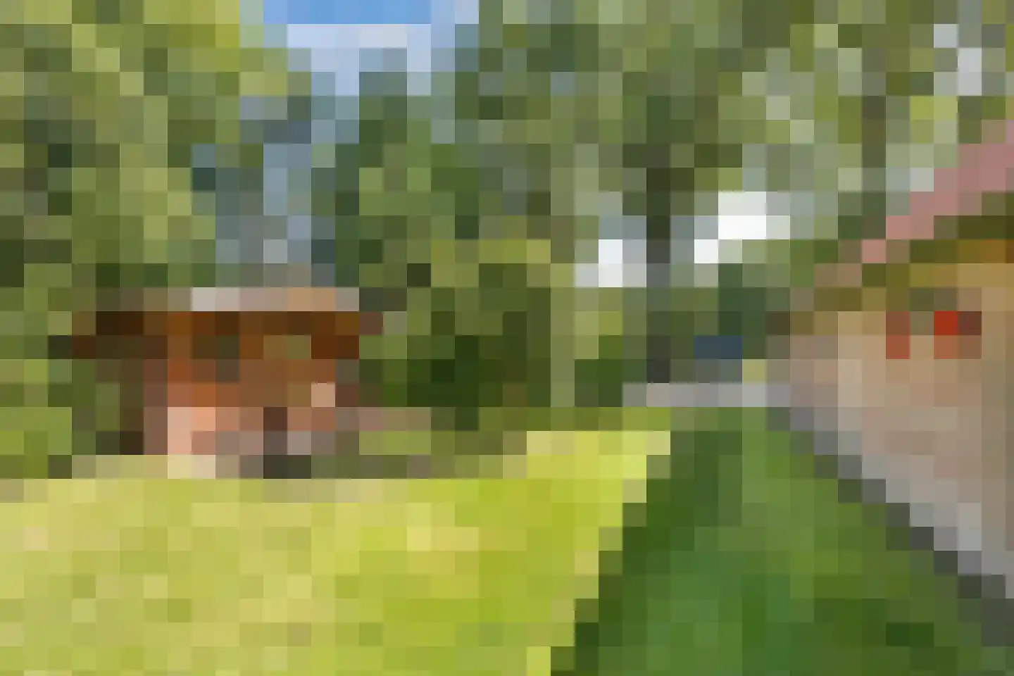 Woldweg 2 De Pol thumbnail 44