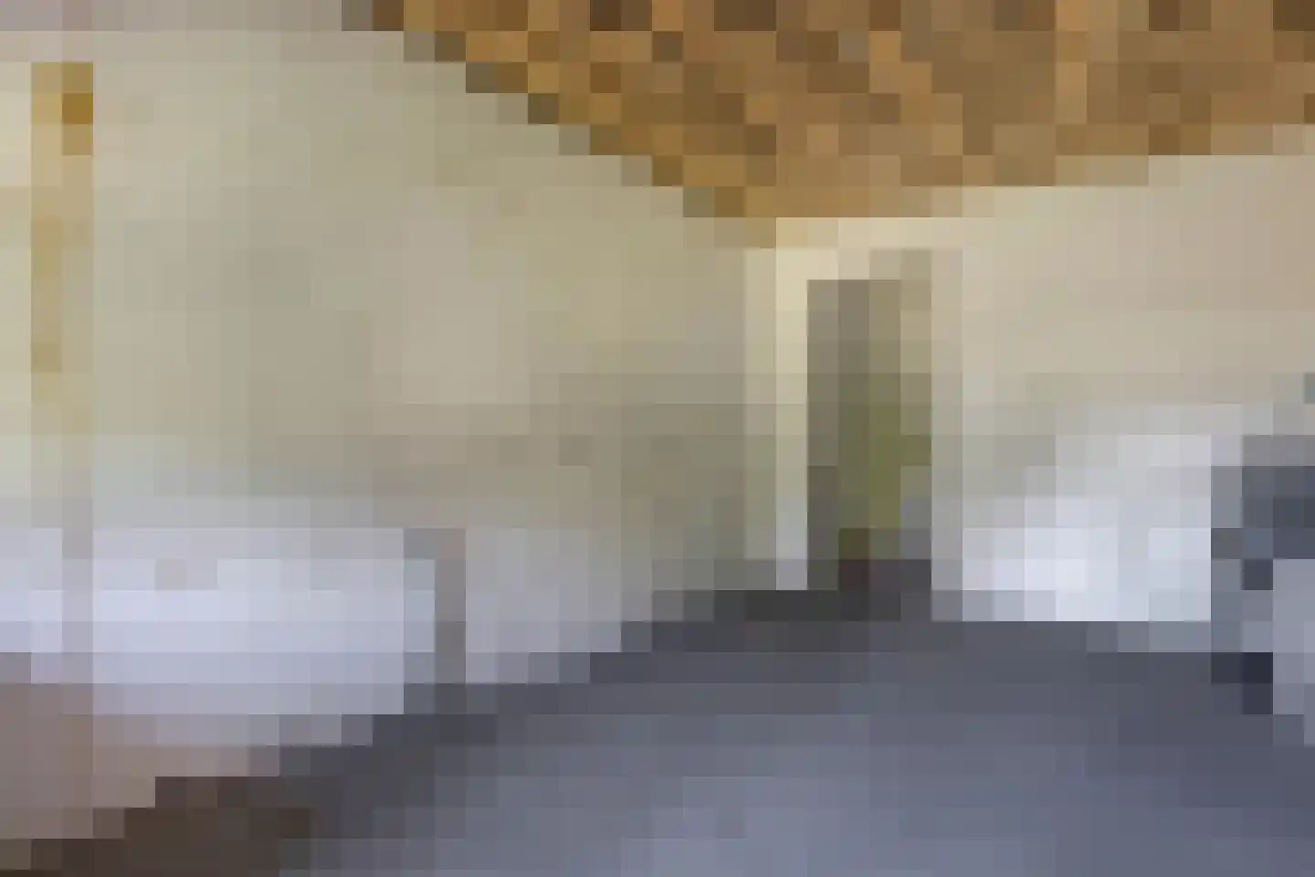 Woldweg 2 De Pol thumbnail 45