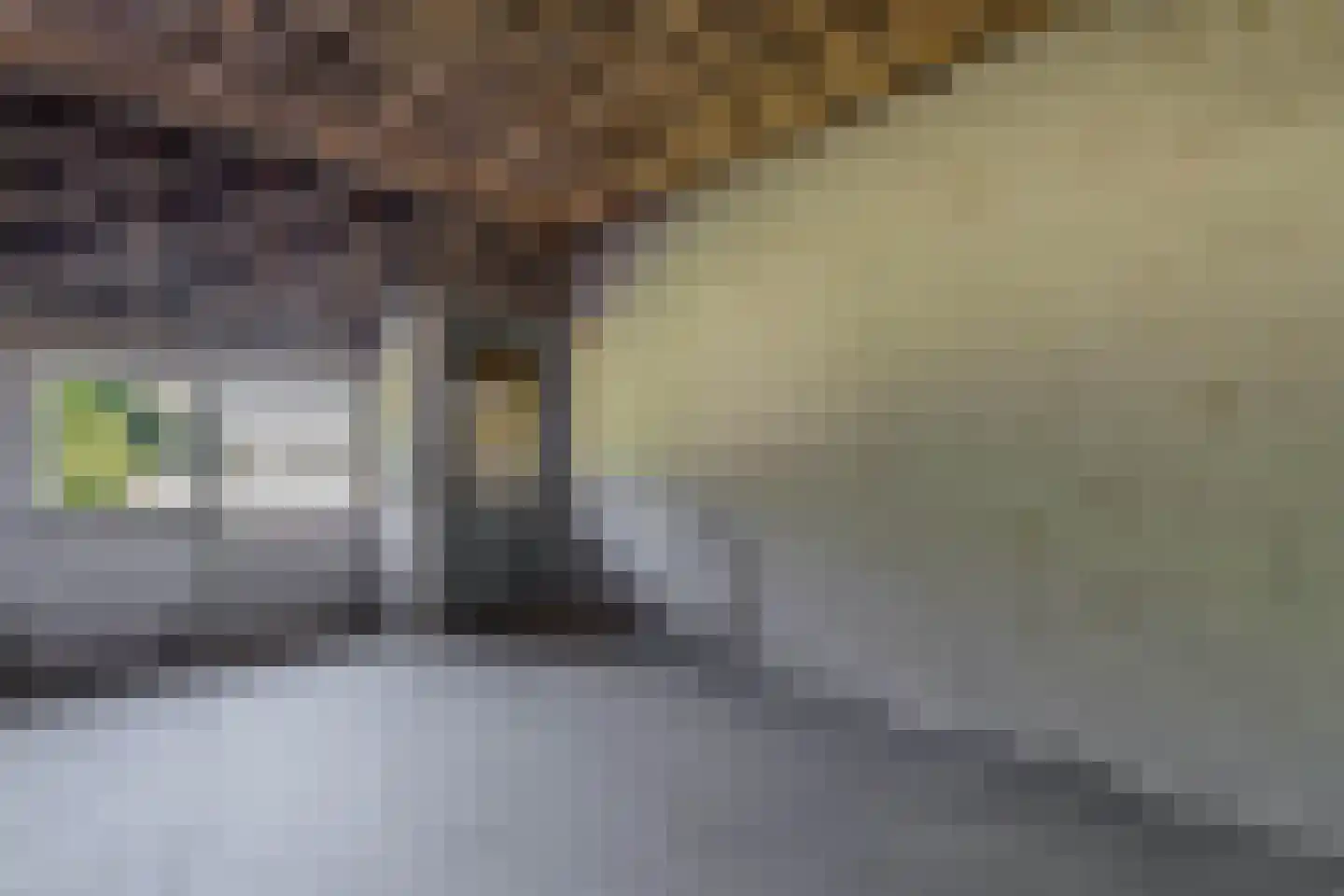Woldweg 2 De Pol thumbnail 46