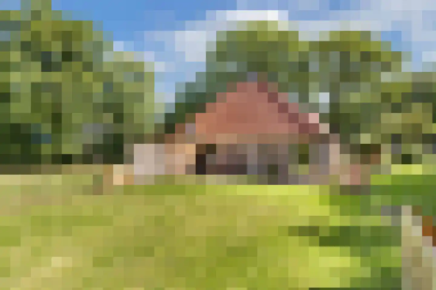 Woldweg 2 De Pol thumbnail 47