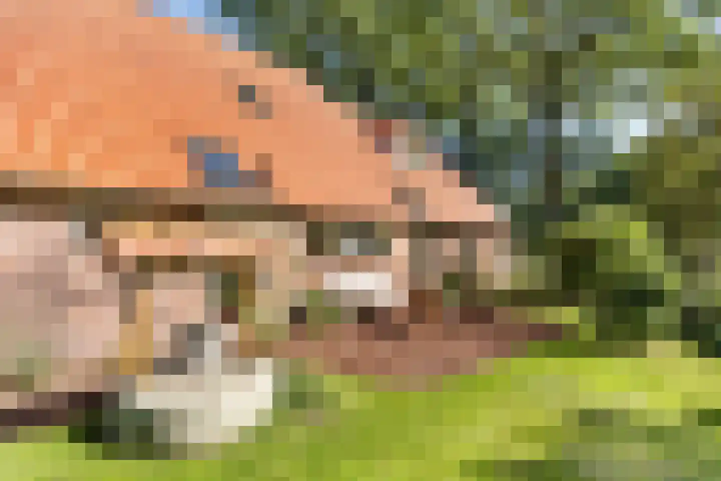 Woldweg 2 De Pol thumbnail 48