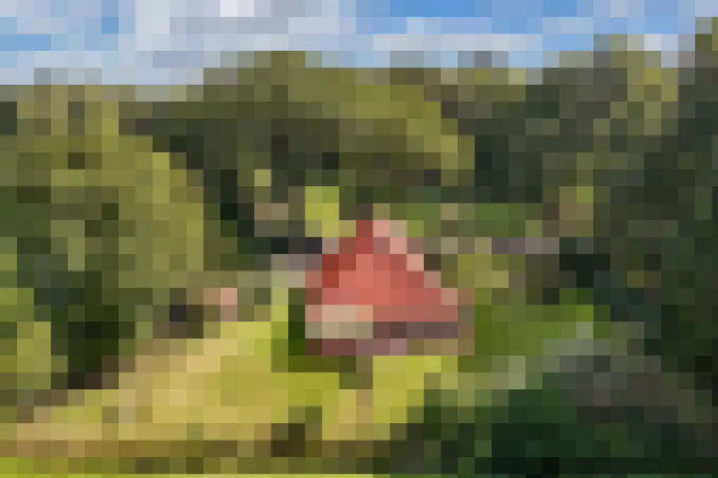 Woldweg 2 De Pol thumbnail 51