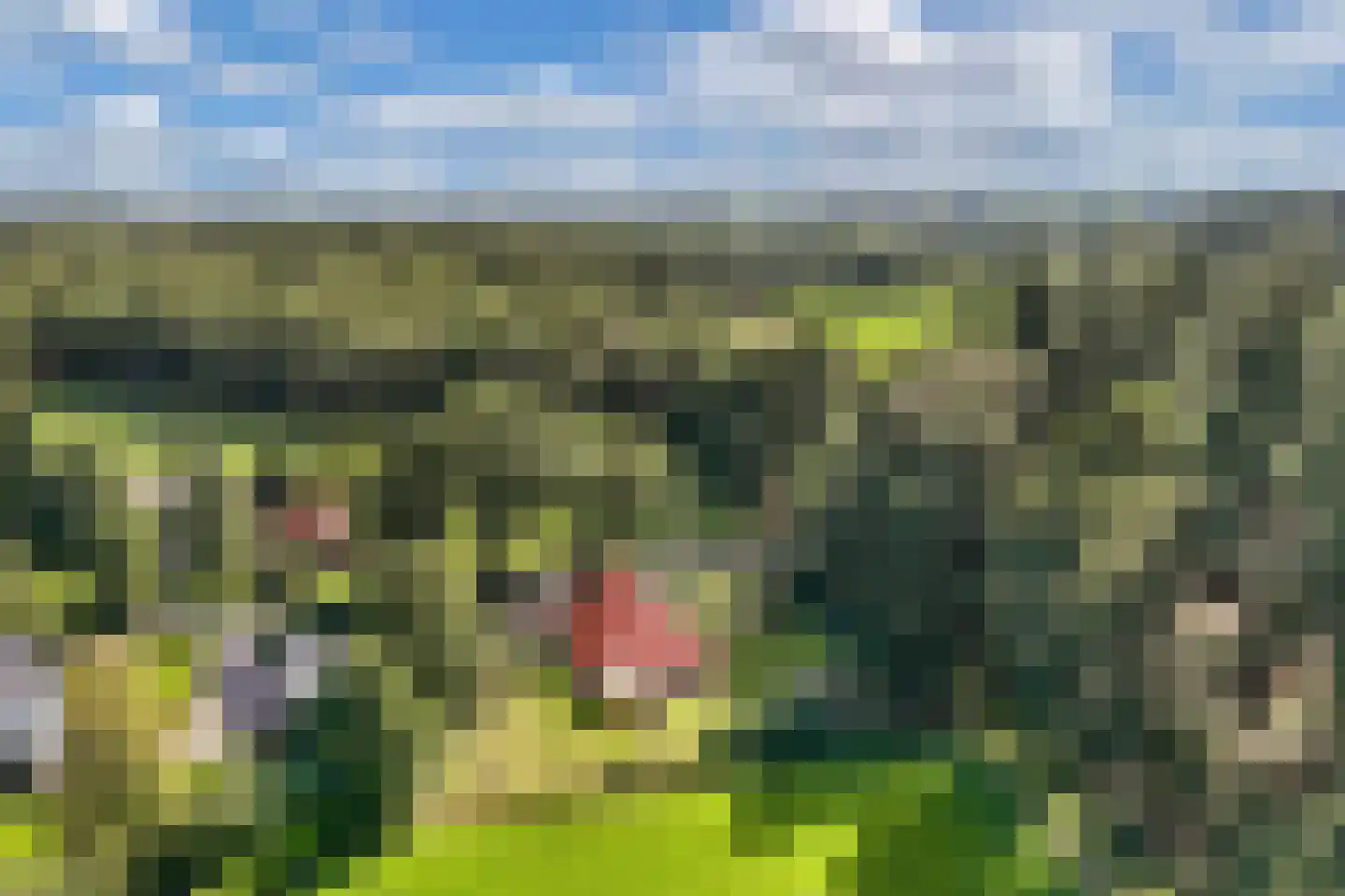 Woldweg 2 De Pol thumbnail 53