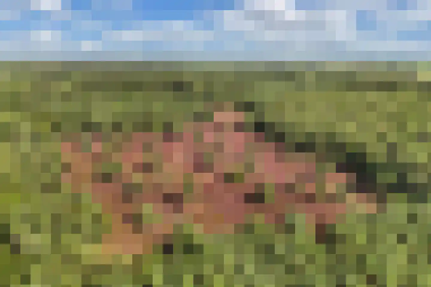 Woldweg 2 De Pol thumbnail 54