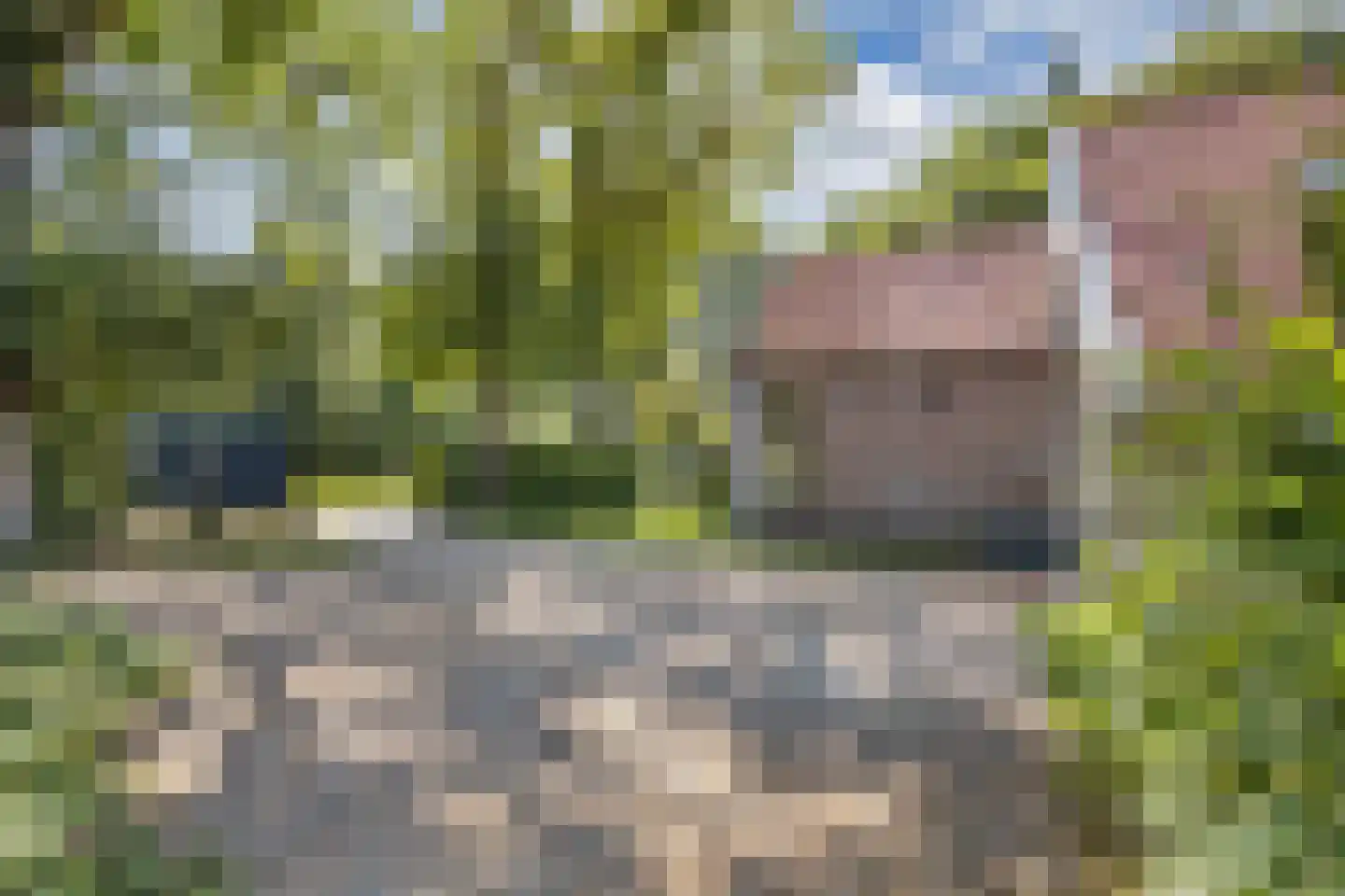 Woldweg 2 De Pol thumbnail 6
