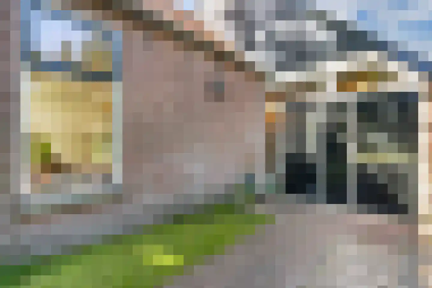 Woldweg 2 De Pol thumbnail 7