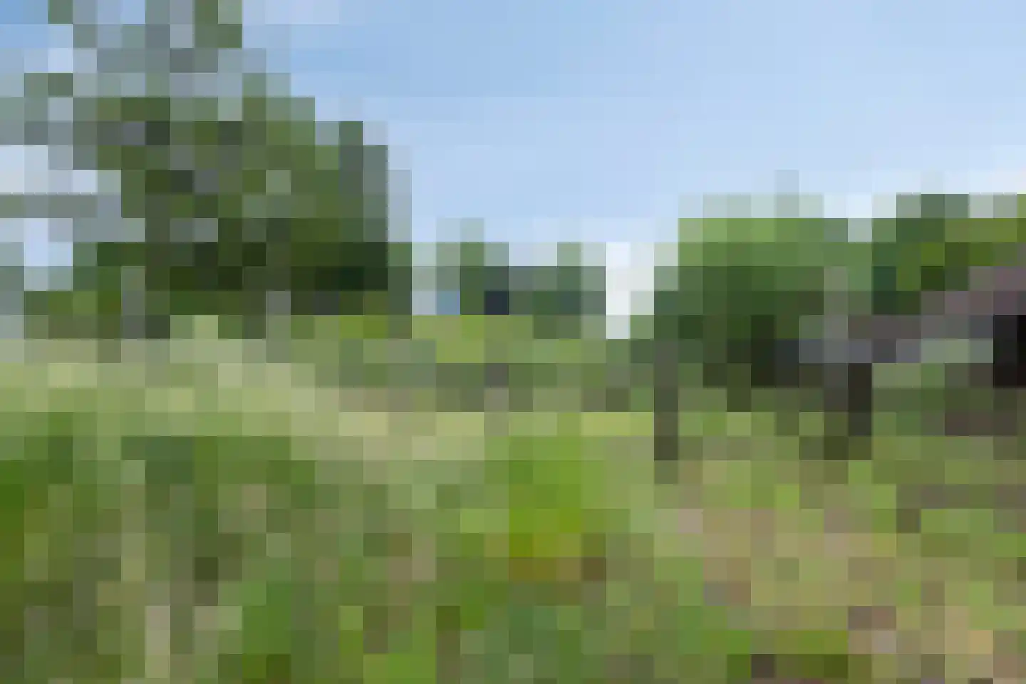 Woldweg 226 Kropswolde thumbnail 4