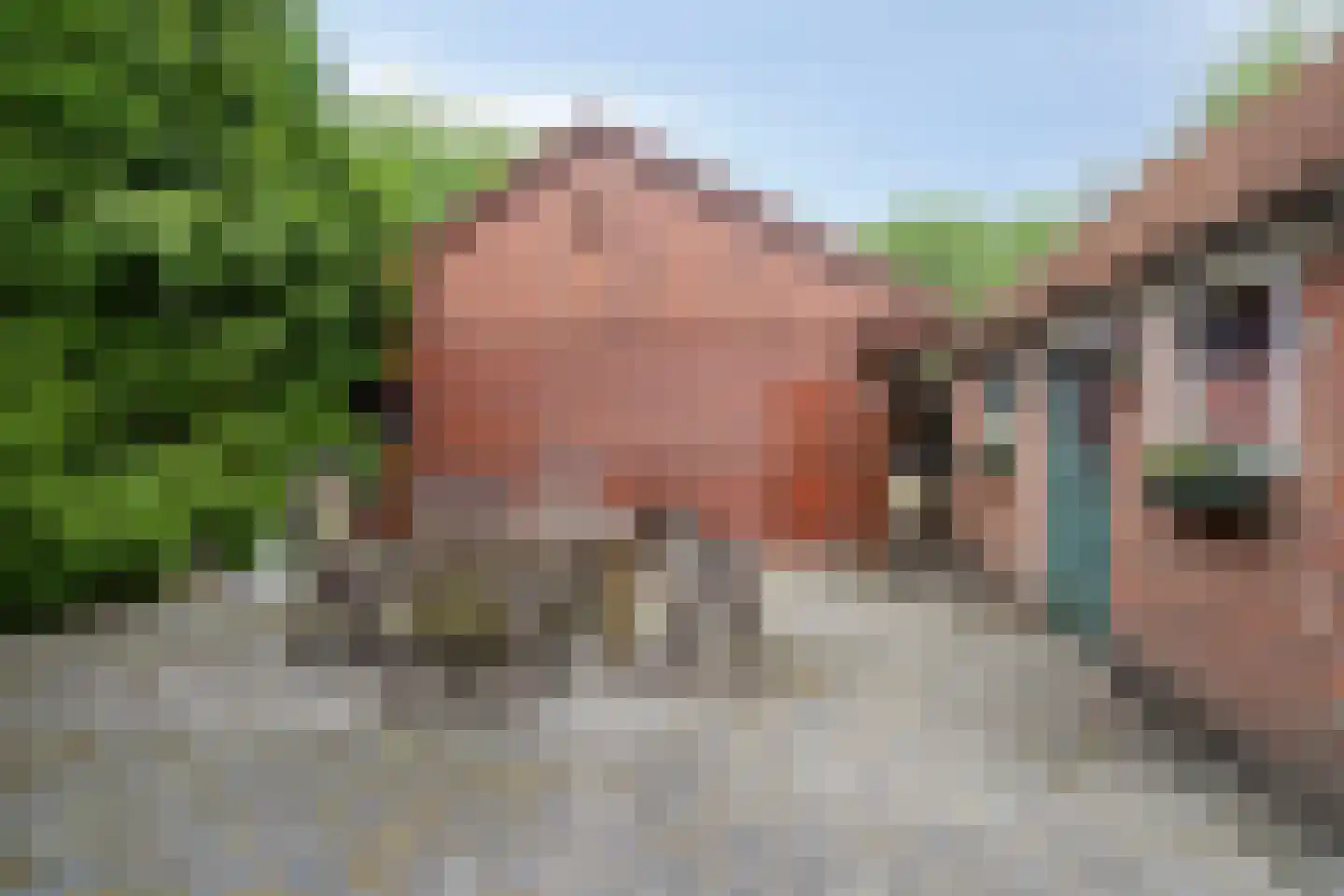Woldweg 226 Kropswolde thumbnail 41