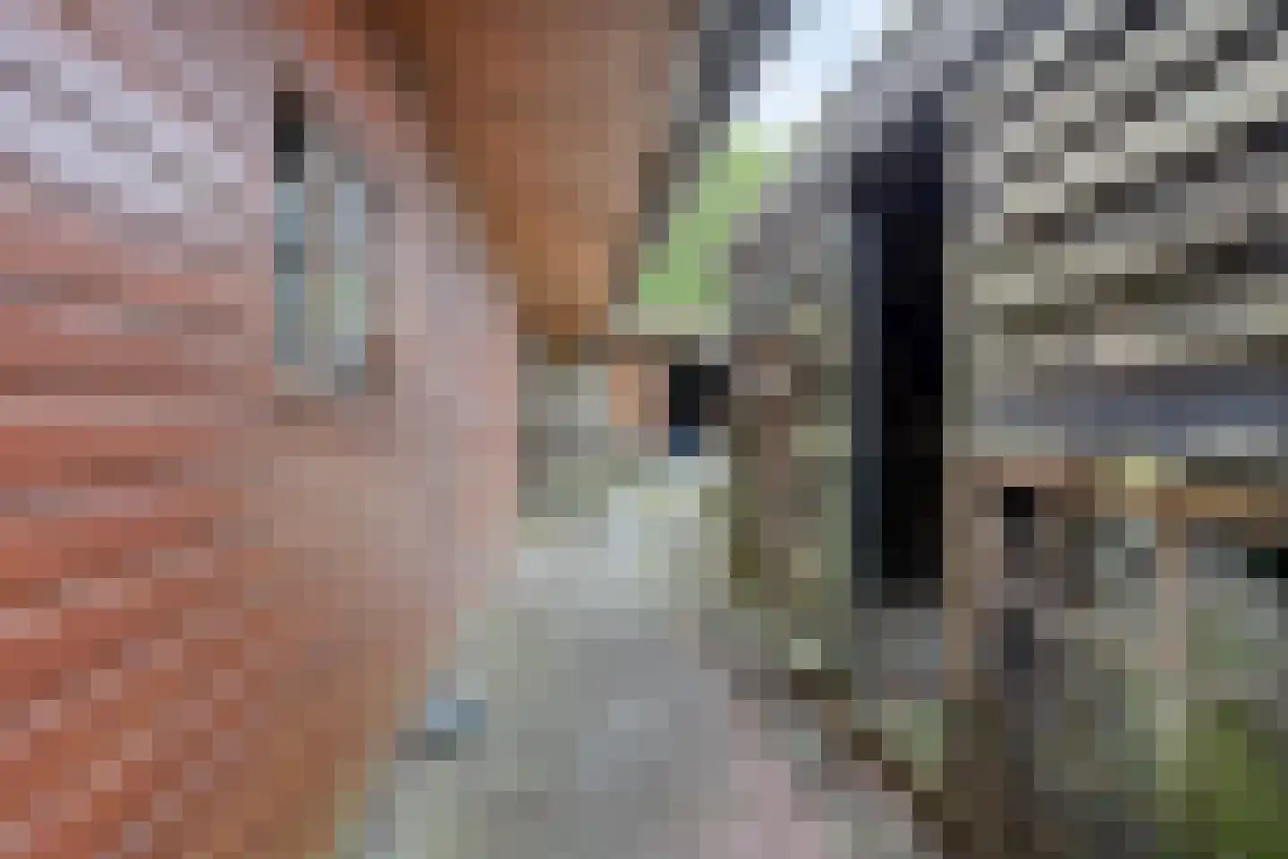 Woldweg 226 Kropswolde thumbnail 46