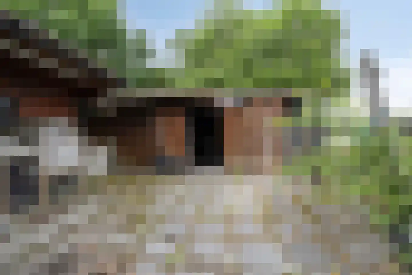Woldweg 226 Kropswolde thumbnail 49