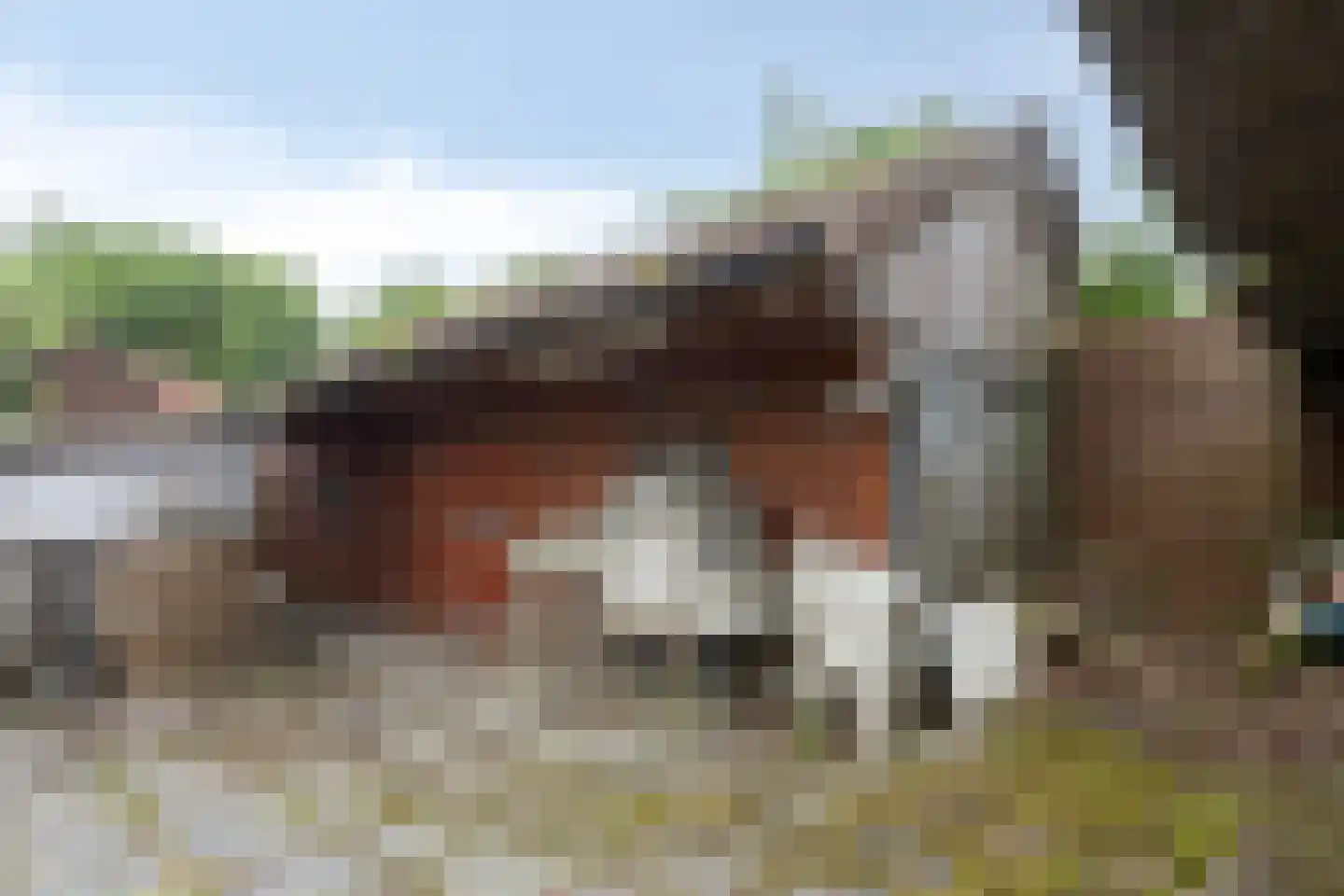 Woldweg 226 Kropswolde thumbnail 50