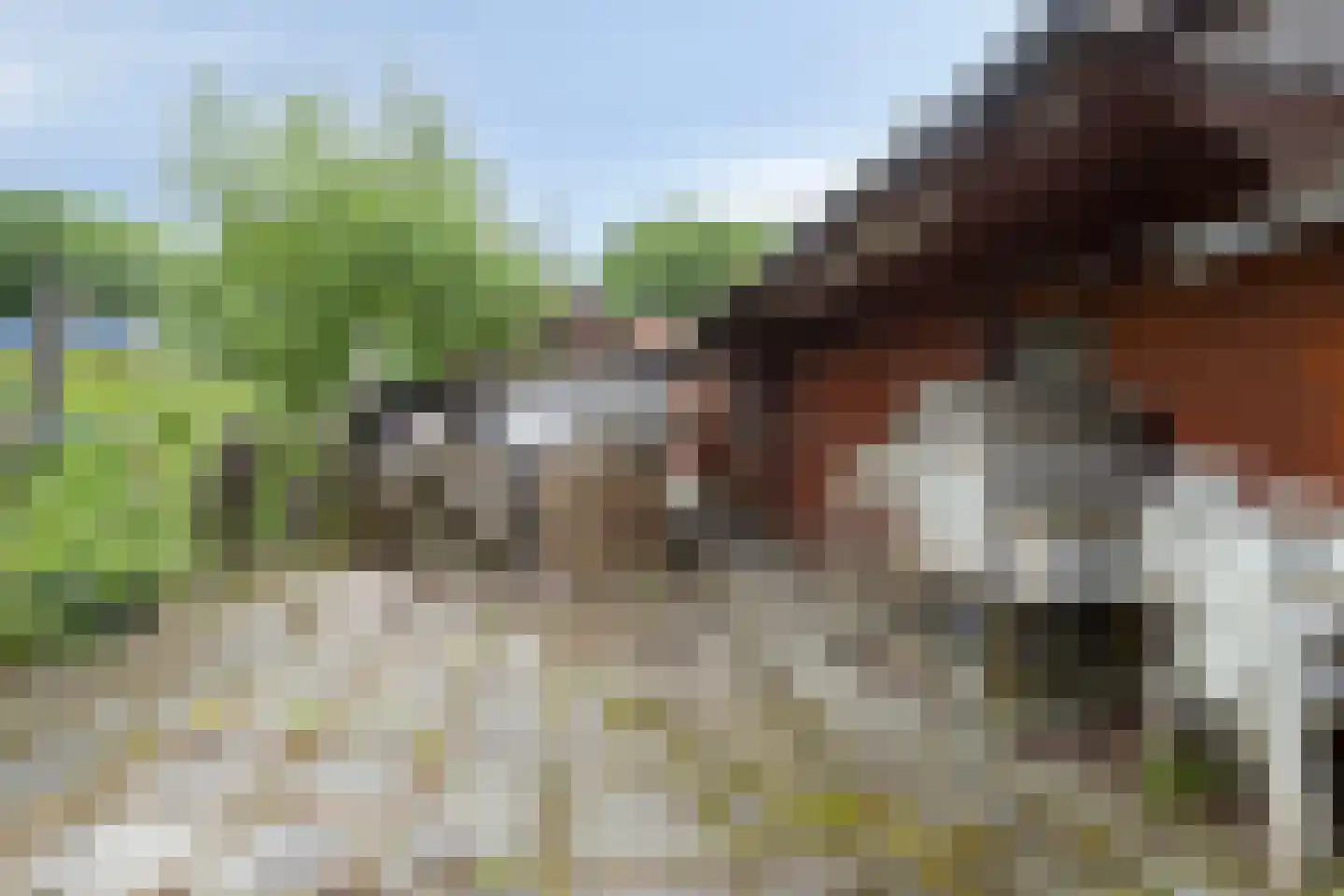 Woldweg 226 Kropswolde thumbnail 51