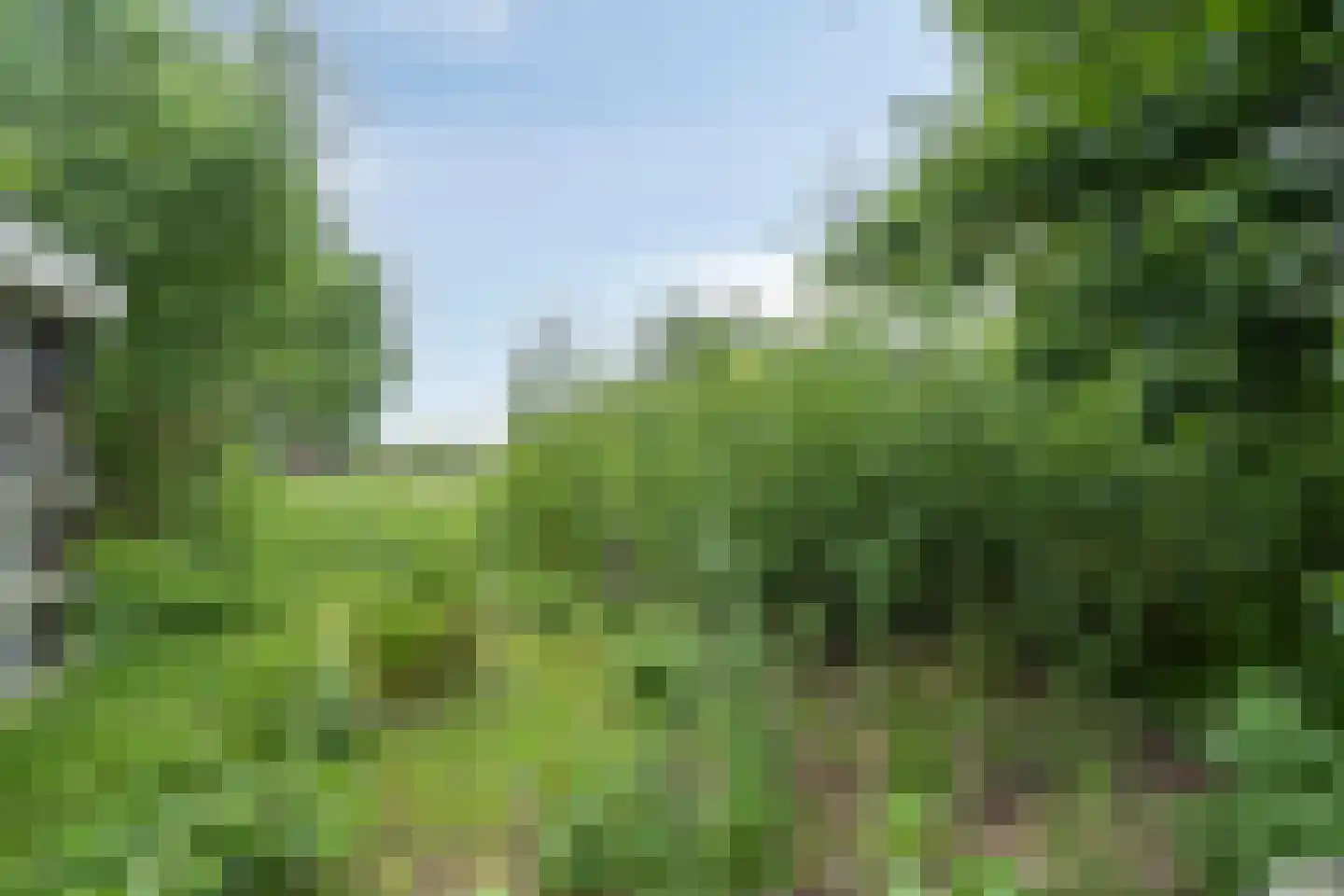 Woldweg 226 Kropswolde thumbnail 63