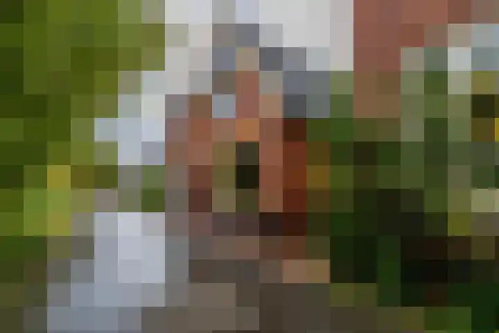 Woldweg 3 in Groningen