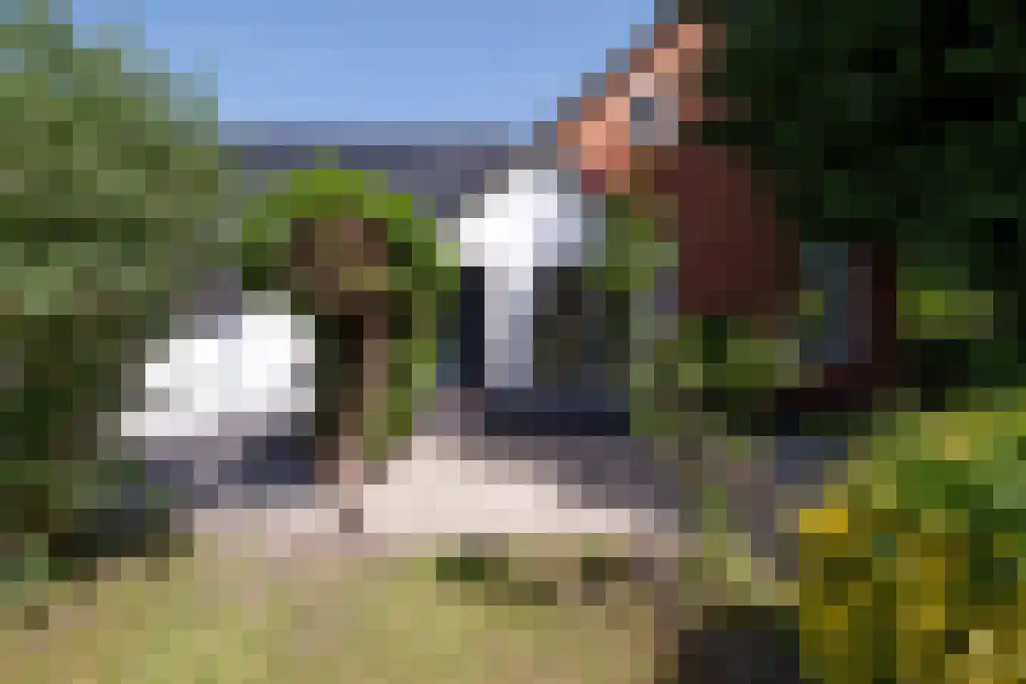 Woldweg 54 Kropswolde thumbnail 13