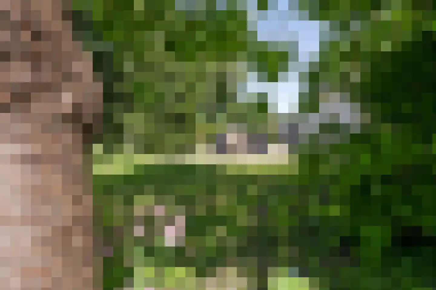 Woldweg 54 Kropswolde thumbnail 75